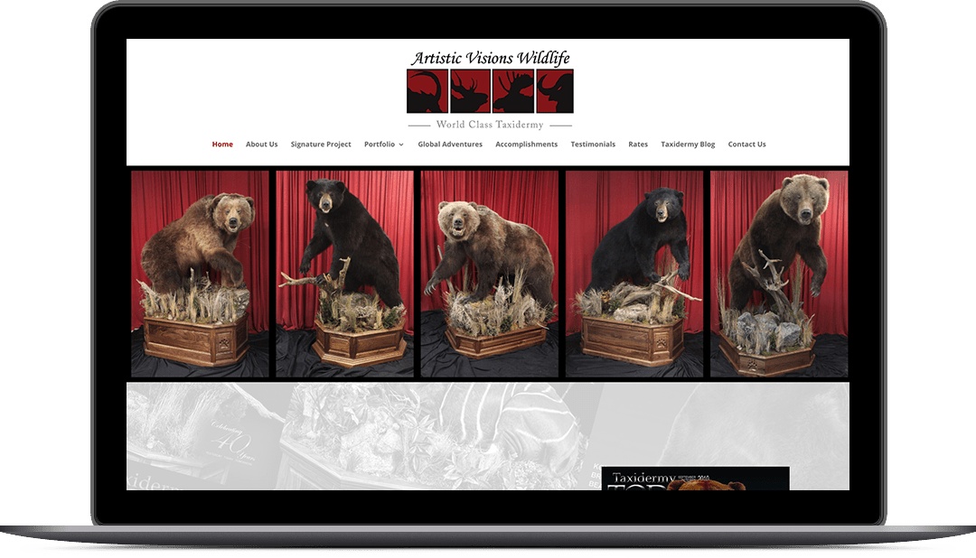 Artistic Visions Wildlife | Website Design
