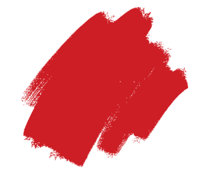Psychology of Color in Branding | FXV Digital Design