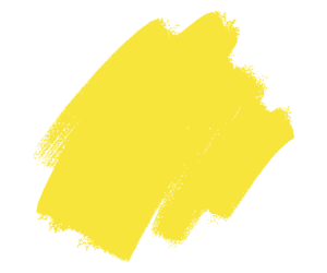 Psychology of Color in Branding | FXV Digital Design