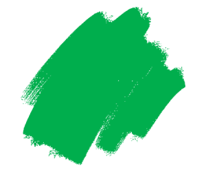 Psychology of Color in Branding | FXV Digital Design