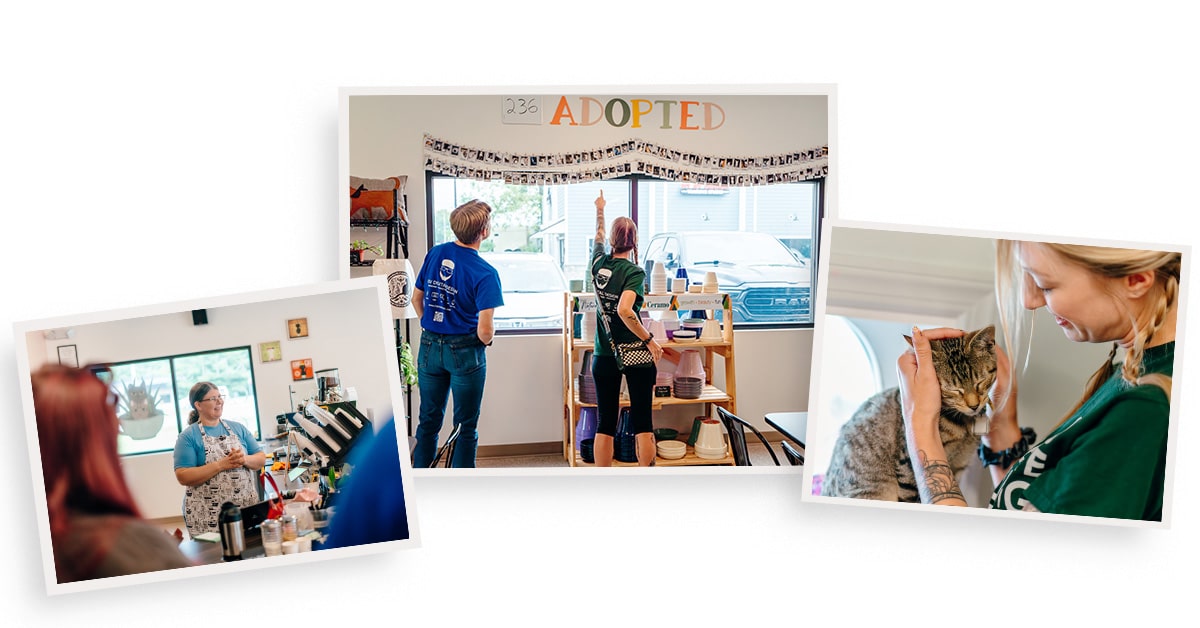 Awesome Community Spotlight: Kitt's Cafe & Gandalf's Garden